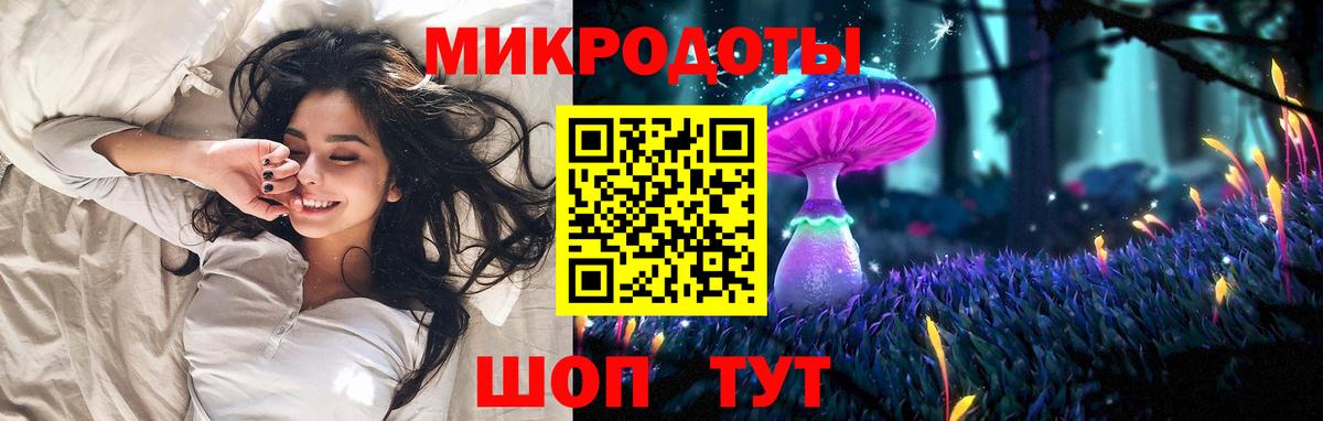 Псилоцибиновые грибы Psilocybe  Вход с VPN  Аша  Псилоцибиновые грибы мухоморы 